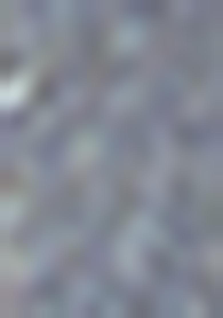 Grey Zari Woven Kanjivaram Saree Set