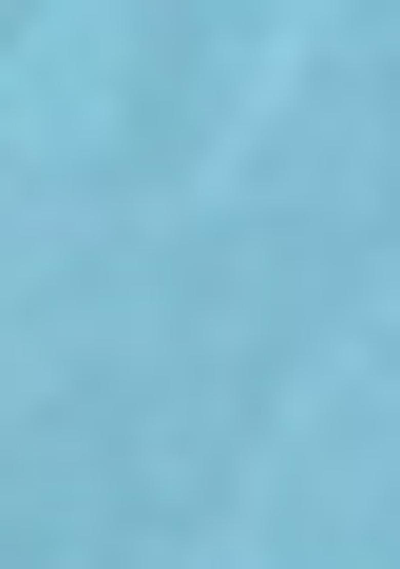 Blue Zari Woven Tissue Silk Saree Set