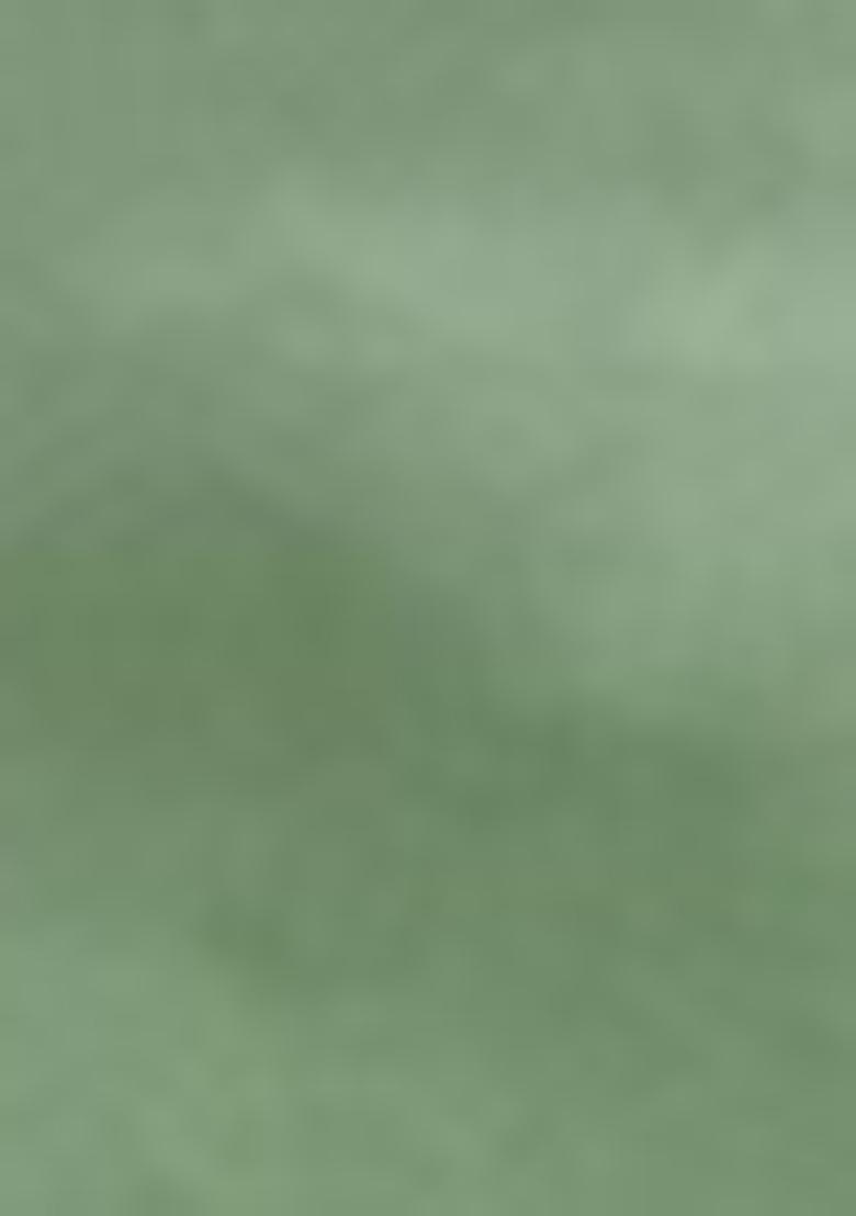 Green Zari Woven Tissue Silk Saree Set