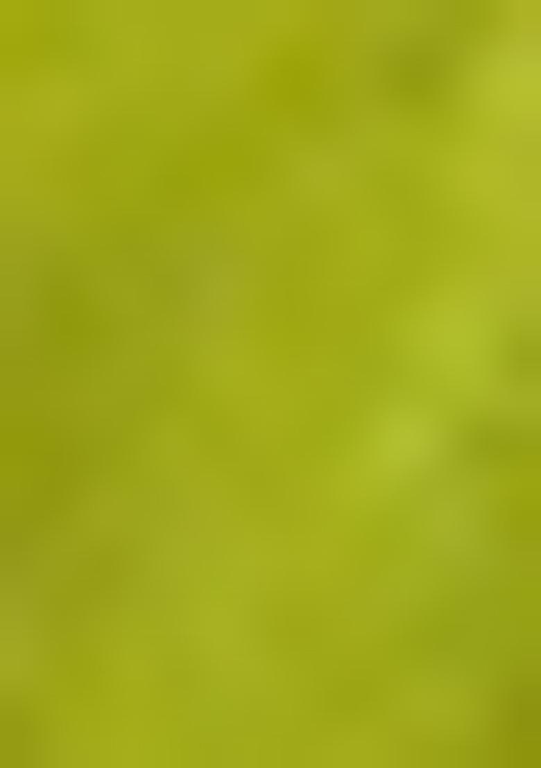 Green Zari Woven Soft Silk Saree Set