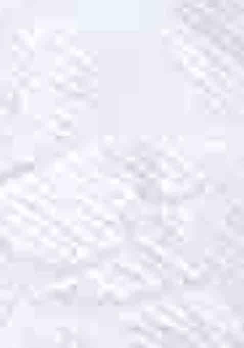 White Woven Thread Embroidered Silk Cotton Saree Set