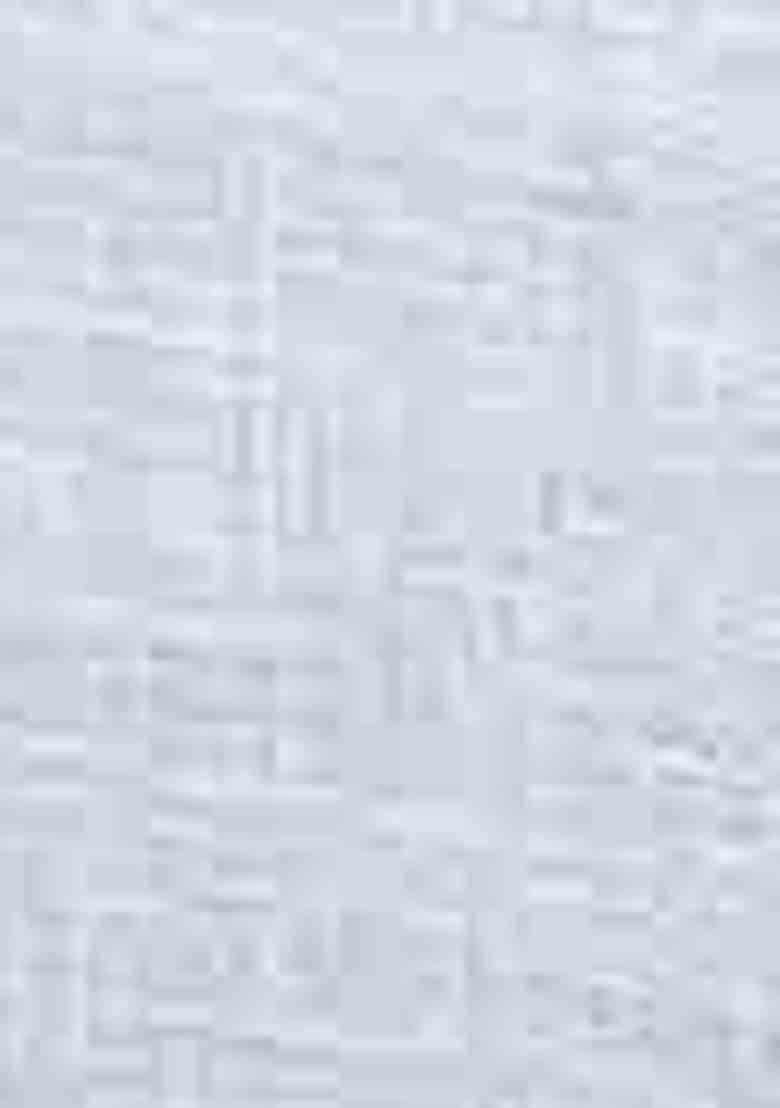 White Woven Thread Embroidered Silk Cotton Saree Set