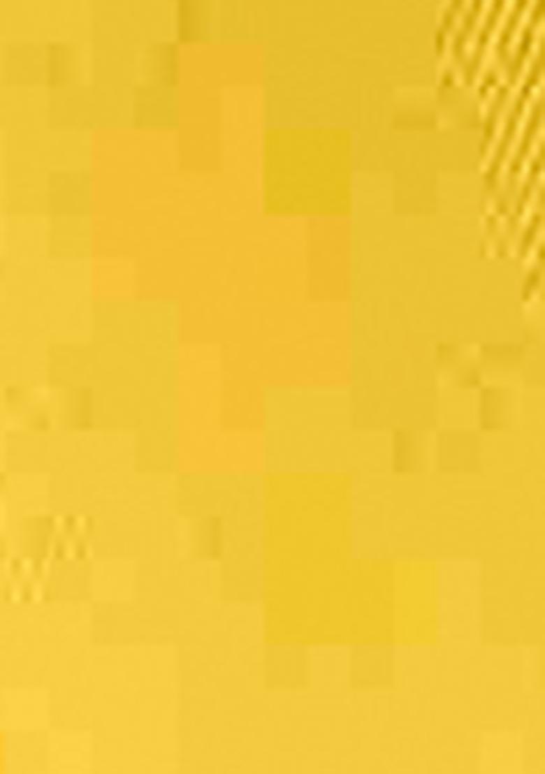 Yellow Zari Woven Silk Blend Saree Set