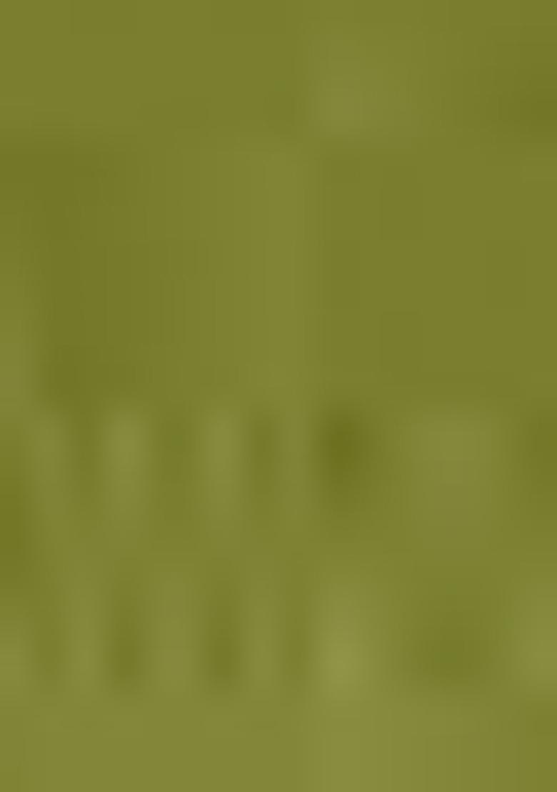 Green Zari Woven Silk Blend Saree Set