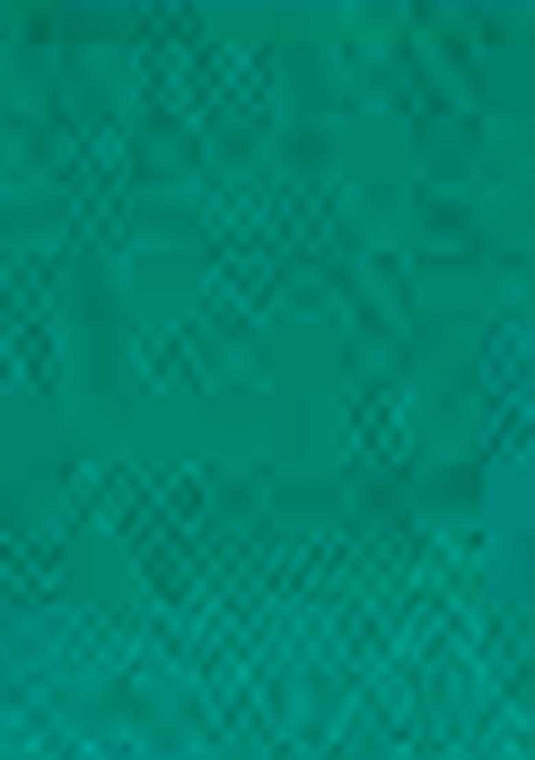 Pista Green Zari Woven Silk Blend Saree Set