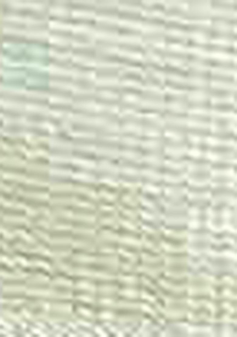 Pista Green Digital Print Linen Blend Saree Set