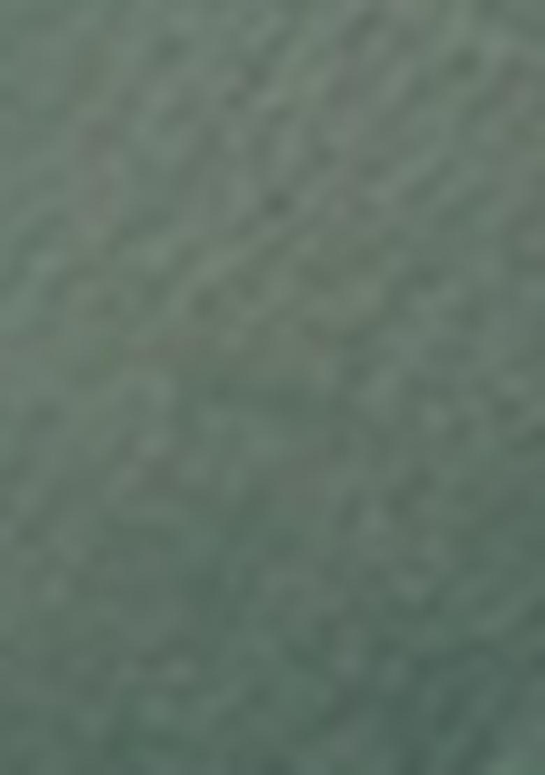 Green Thread Embroidered Crush Saree Set