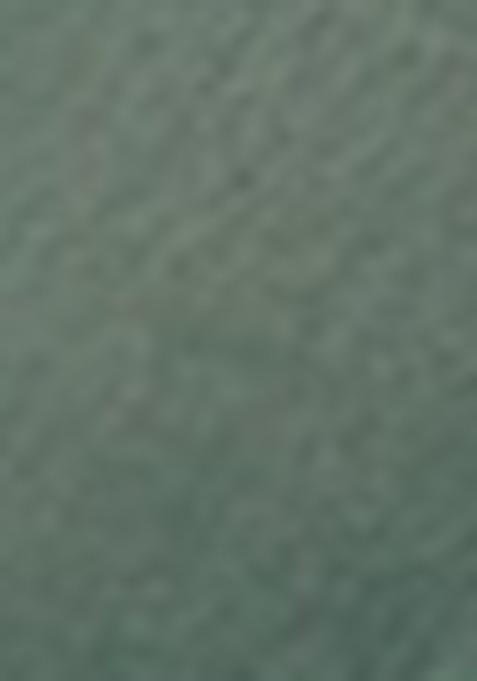 Green Thread Embroidered Crush Saree Set