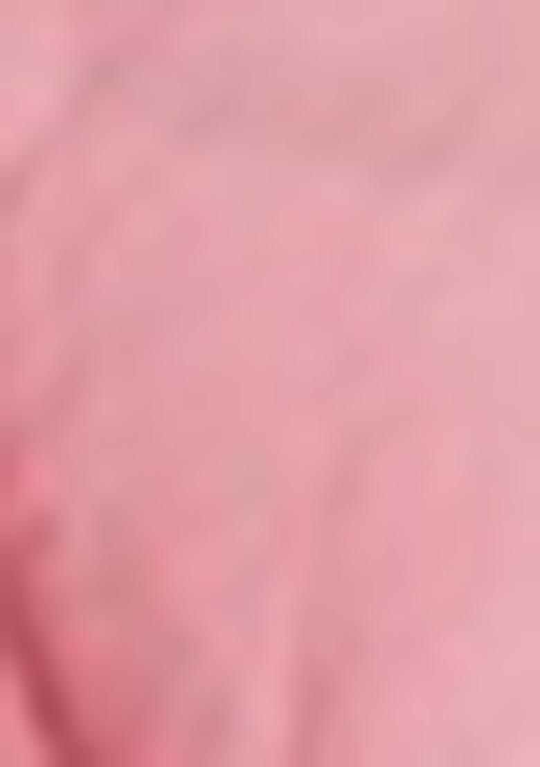 Multicolor Printed Organza Saree Set