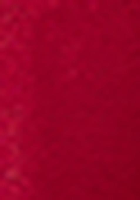 Red Swarovski Work Moss Brasso Saree Set