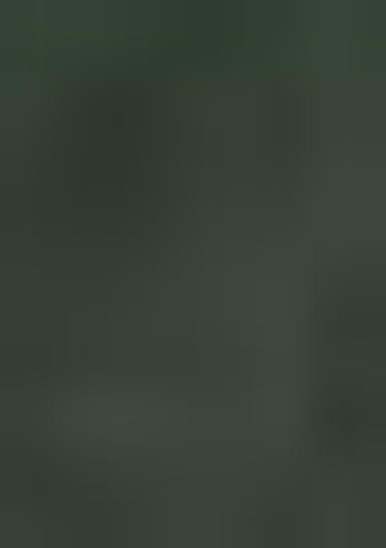 Green Digital Print Nylon Satin Saree Set