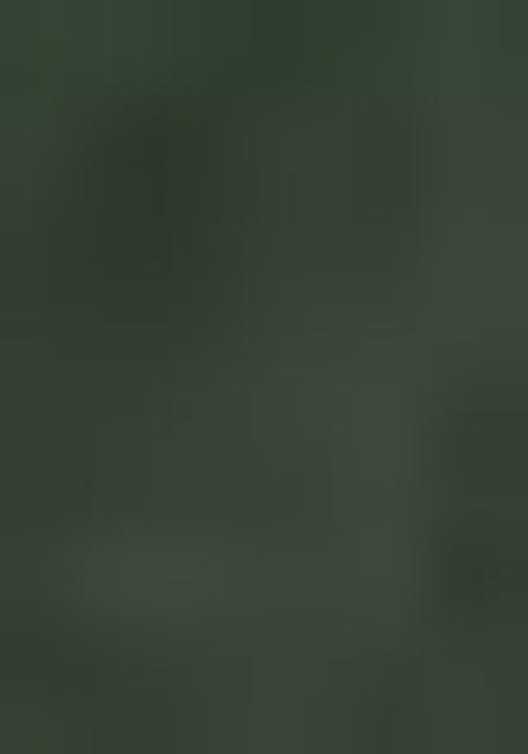 Green Digital Print Nylon Satin Saree Set