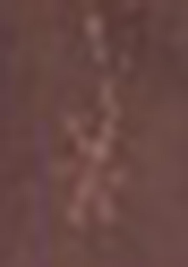 Brown Sequin Embroidered Net Saree Set