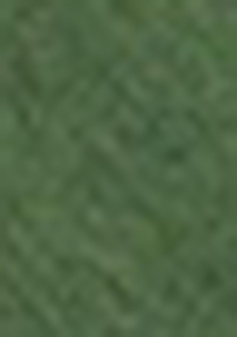 Green Sequin Embroidered Net Saree Set