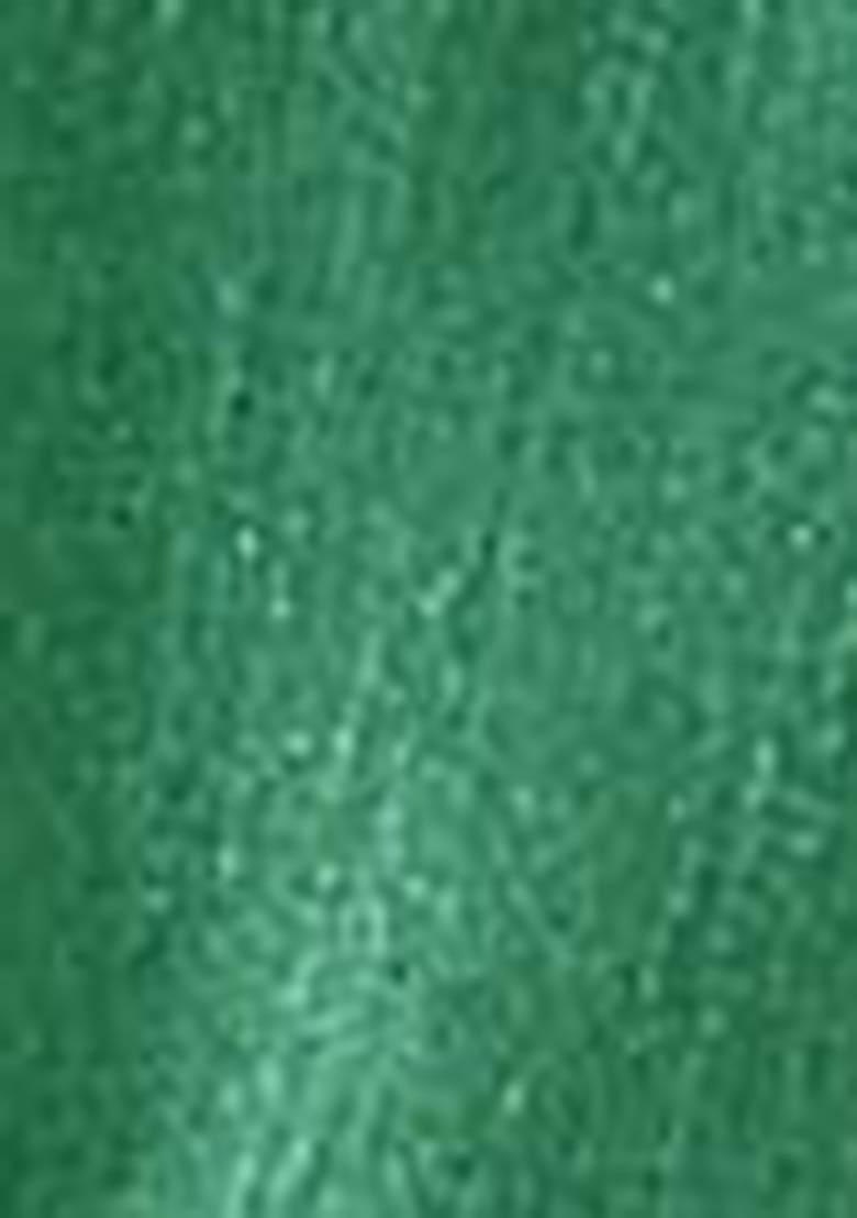 Sea Green Printed Georgette Saree Set