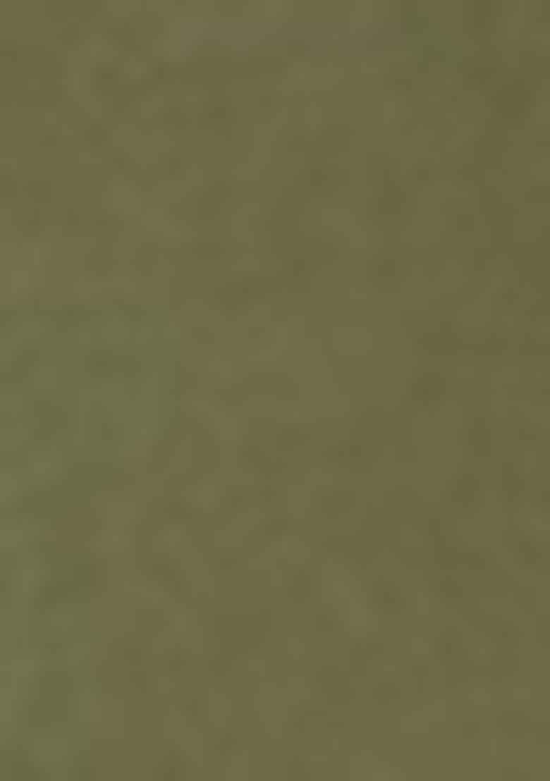 Green Zari Woven Banarasi Silk Saree Set