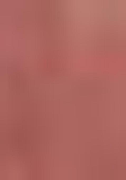 Brown Zari Woven Tussar Silk Saree Set