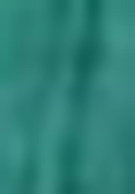 Sea Green Zari Woven Tussar Silk Saree Set