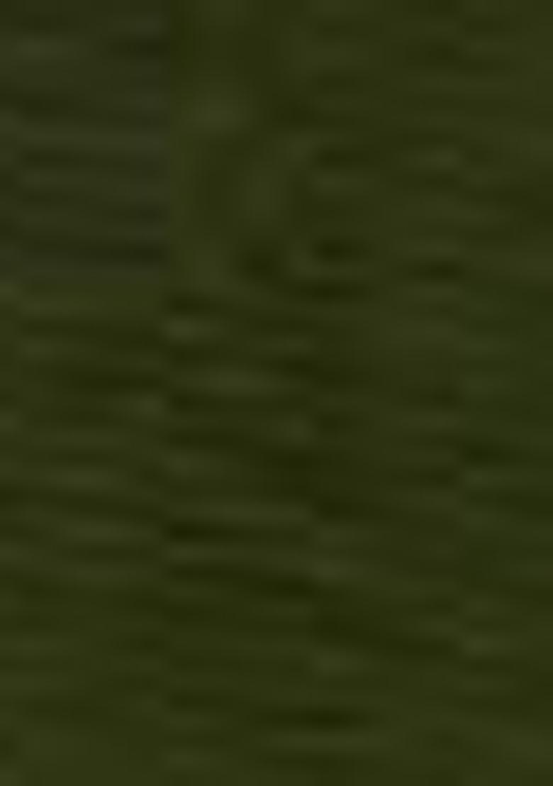 Green Solid Tissue Net Saree Set