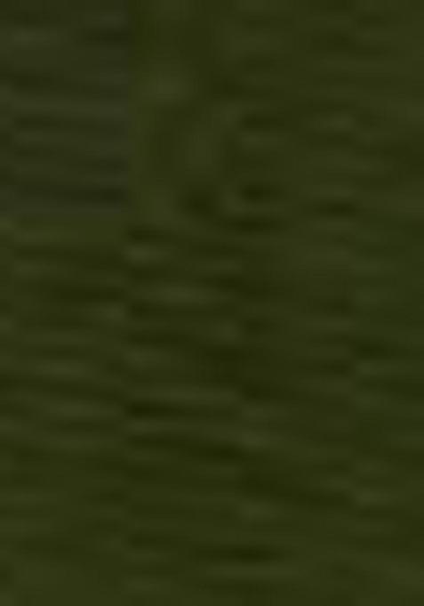 Green Solid Tissue Net Saree Set