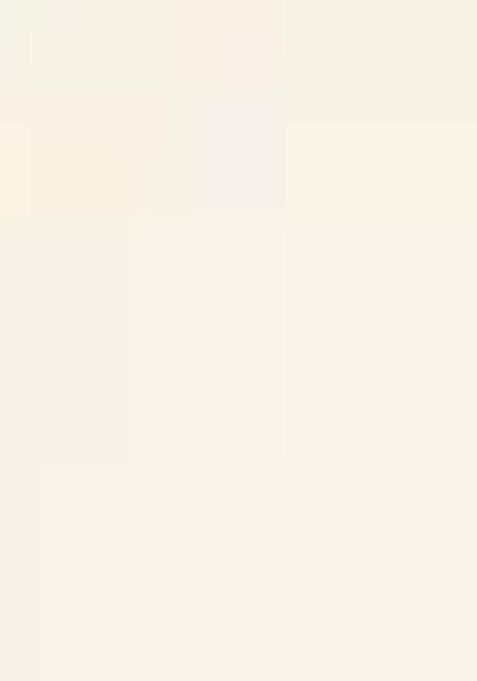 Cream Zari Woven Satin Silk Saree Set