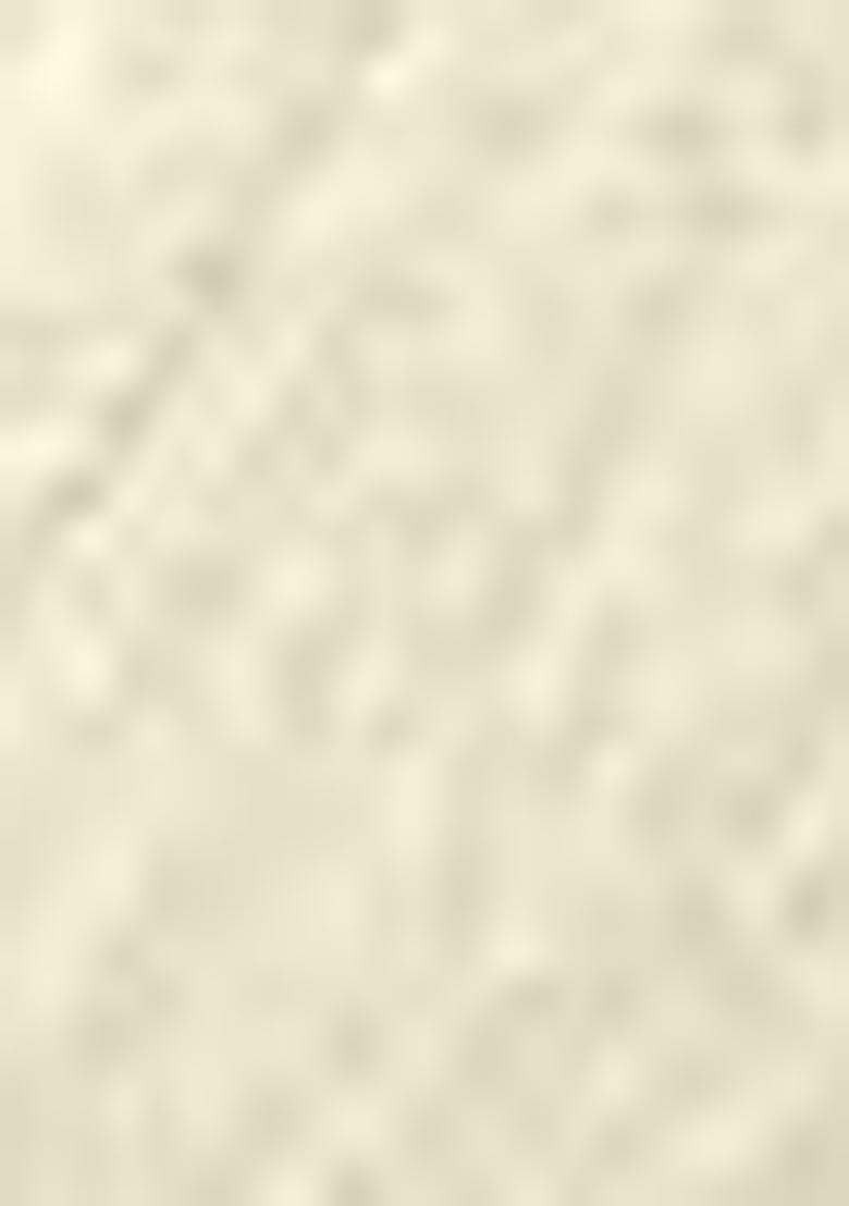 Off White Zari Woven Georgette Saree Set