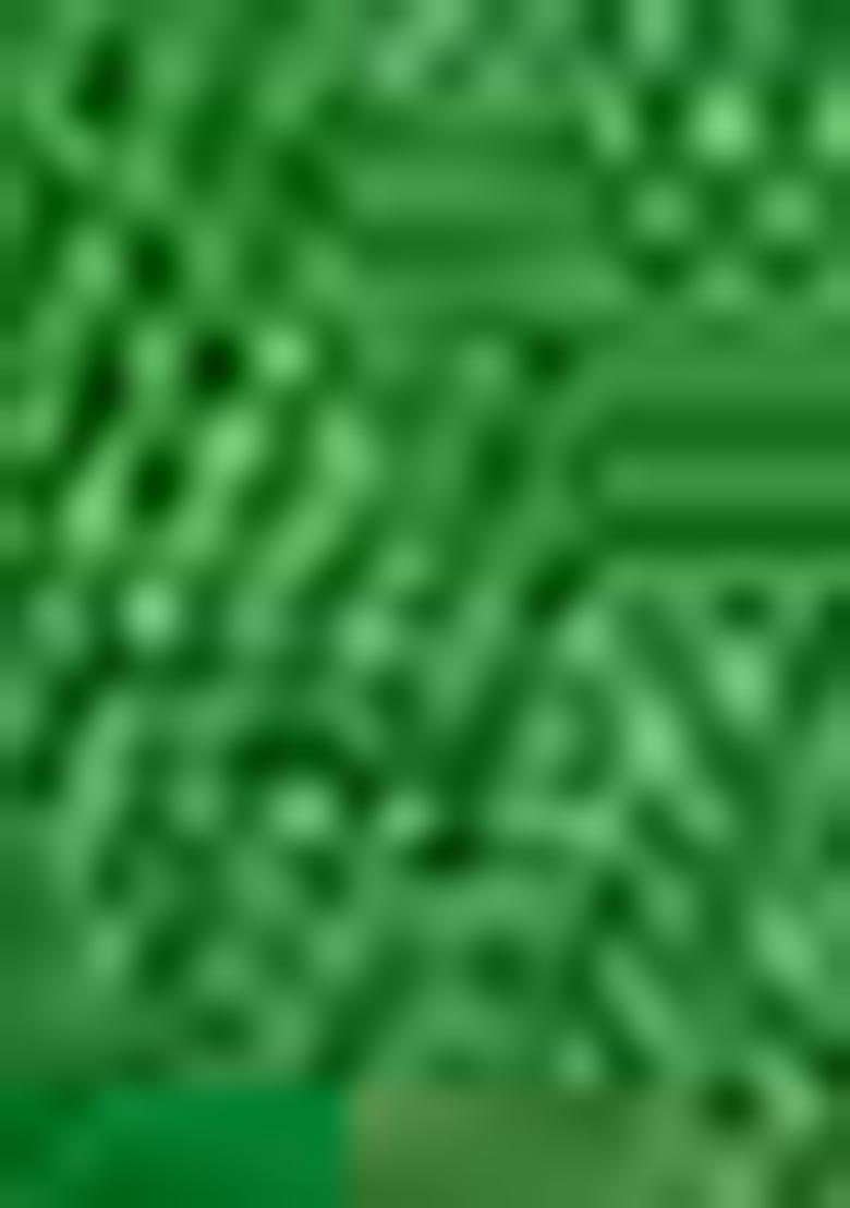 Green Zari Woven Jacquard Silk Saree Set