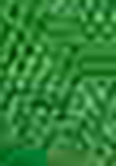 Green Zari Woven Jacquard Silk Saree Set