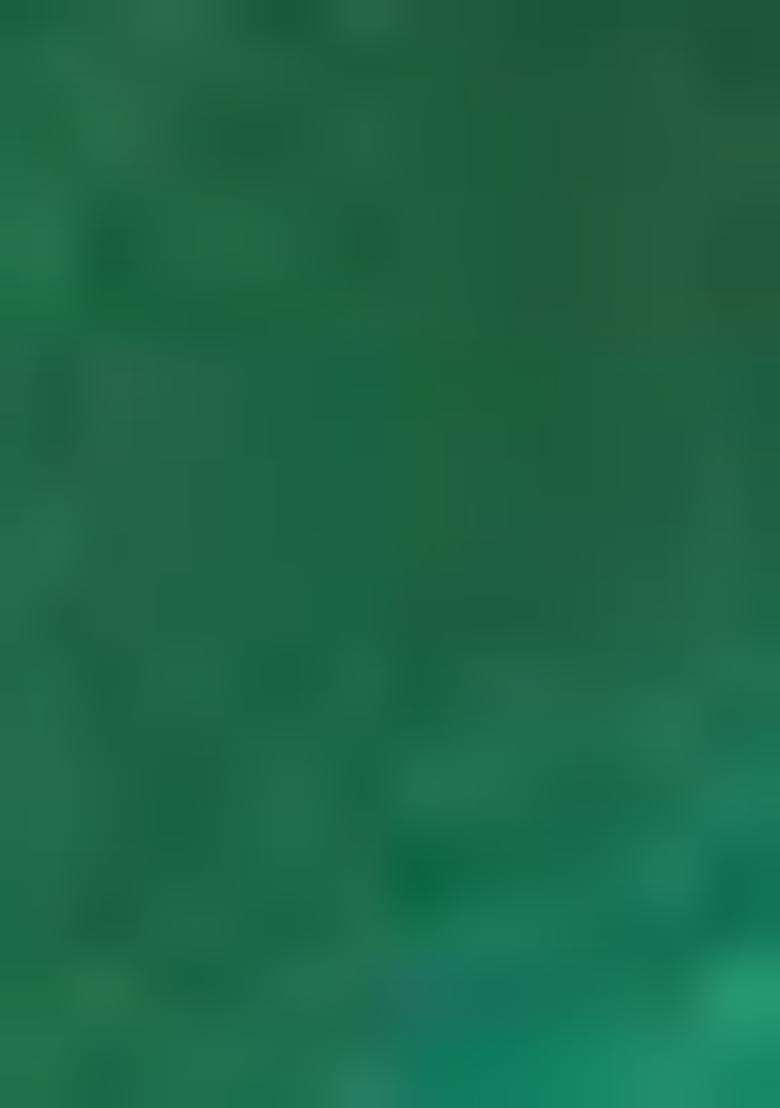 Green Zari Woven Soft Silk Saree Set - Indya