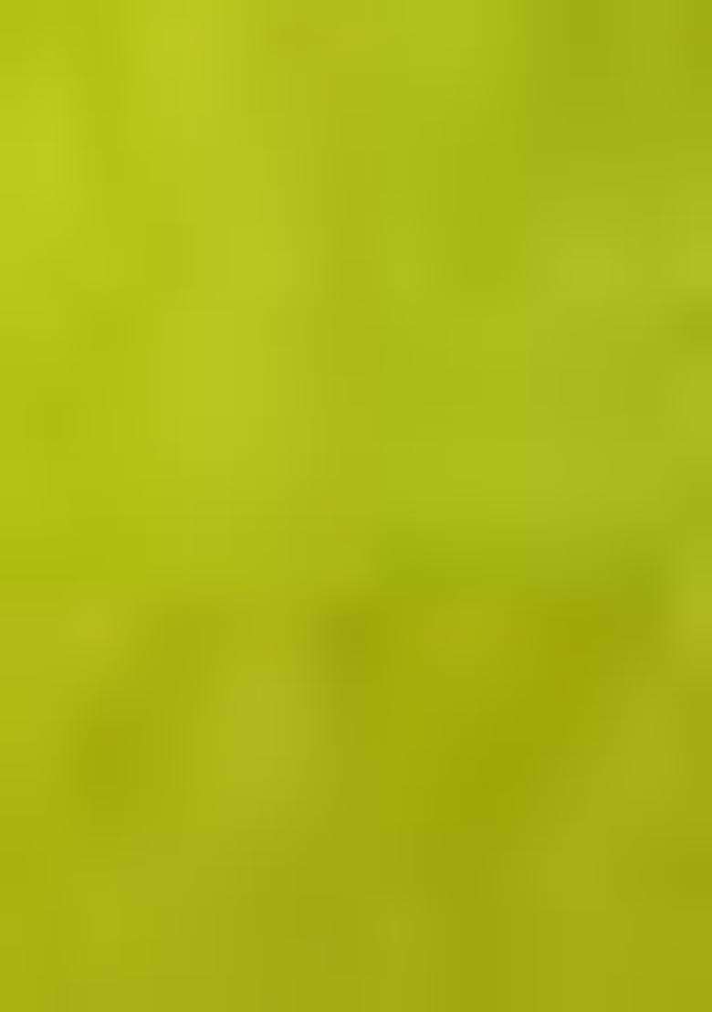 Green Zari Woven Soft Silk Saree Set - Indya