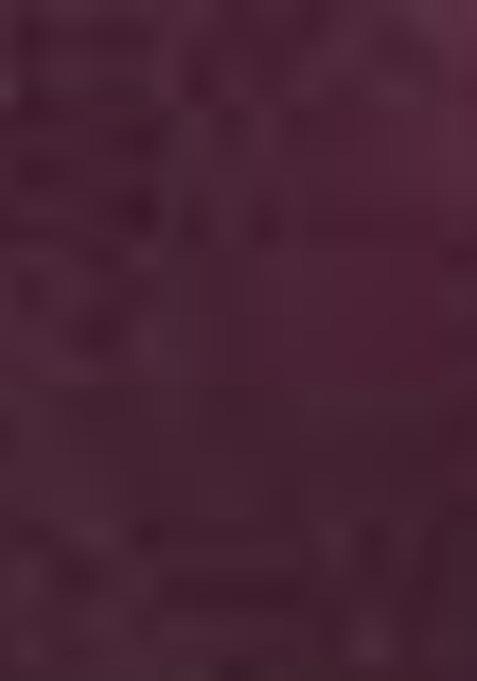 Wine Zari Woven Lichi Silk Saree Set