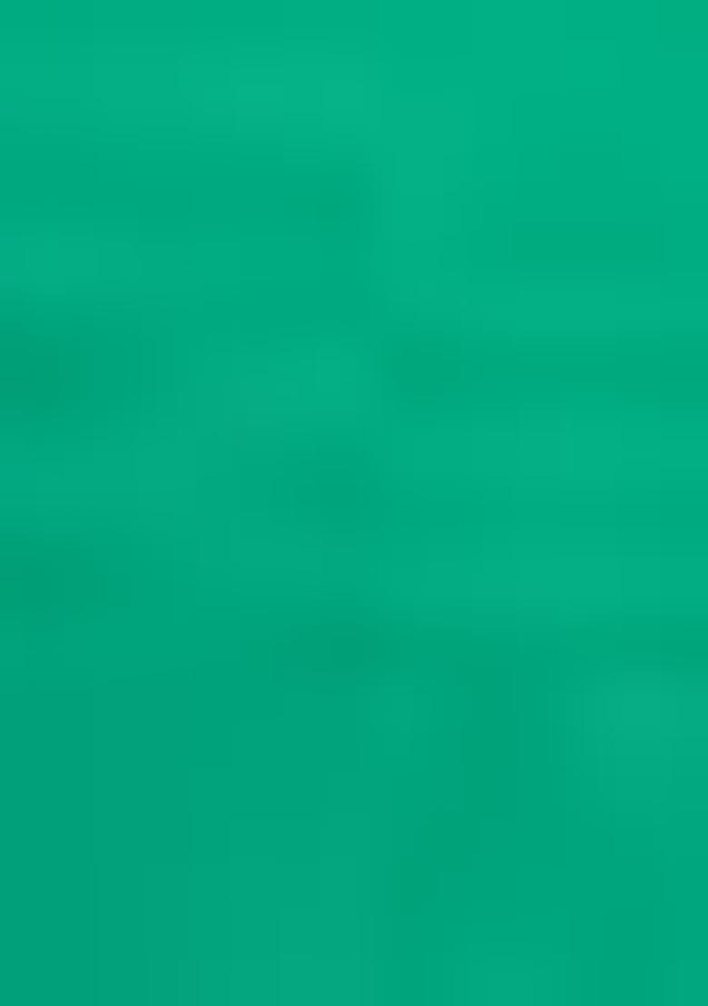 Sea Green Zari Woven Lichi Silk Saree Set