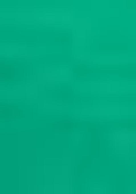 Sea Green Zari Woven Lichi Silk Saree Set