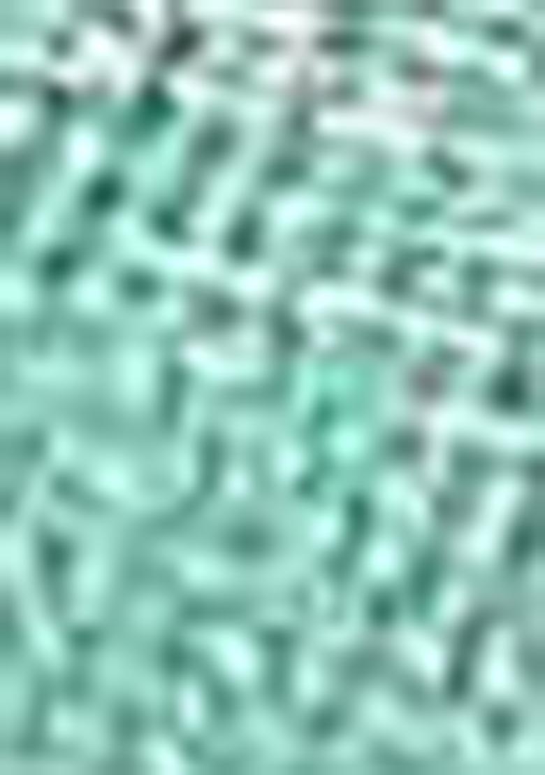 Sea Green Sequin Thread Embroidered Tissue Net Saree Set