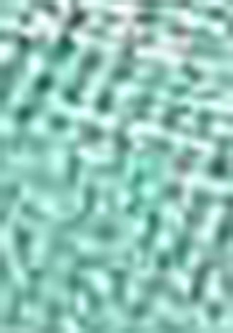 Sea Green Sequin Thread Embroidered Tissue Net Saree Set