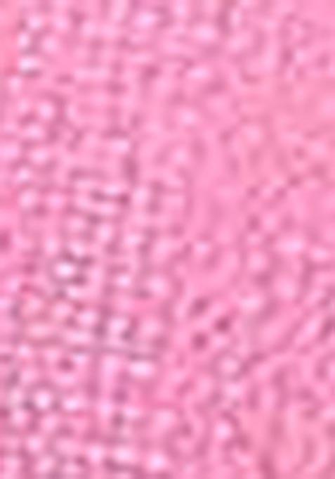 Pink Sequin Thread Embroidered Tissue Net Saree Set