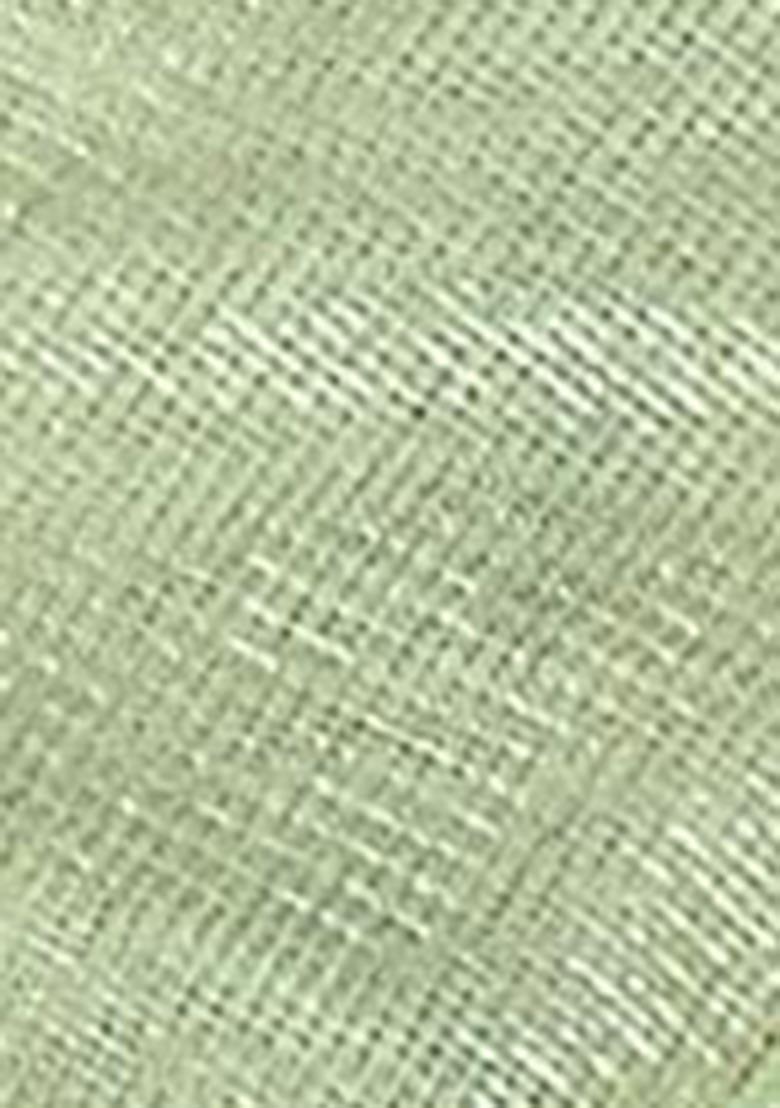 Green Sequin Thread Embroidered Tissue Net Saree Set