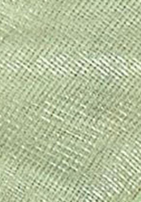 Green Sequin Thread Embroidered Tissue Net Saree Set