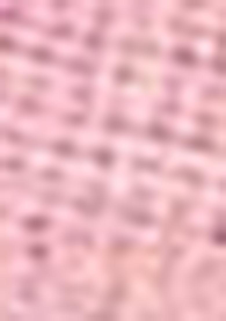 Purple Sequin Thread Embroidered Tissue Net Saree Set