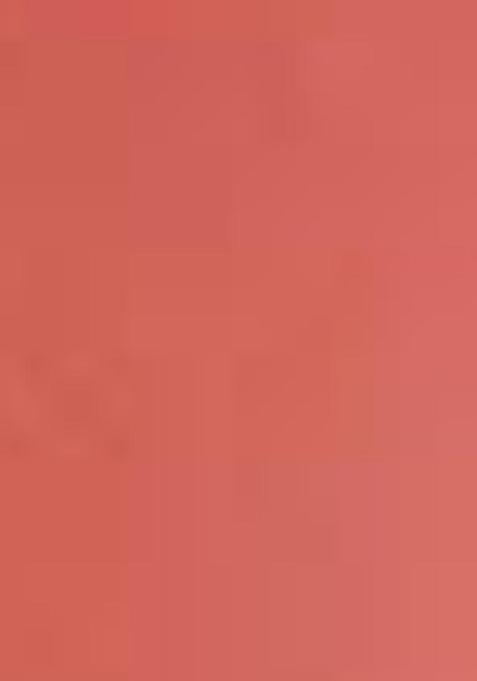 Peach Sequin Thread Embroidered Net Saree Set