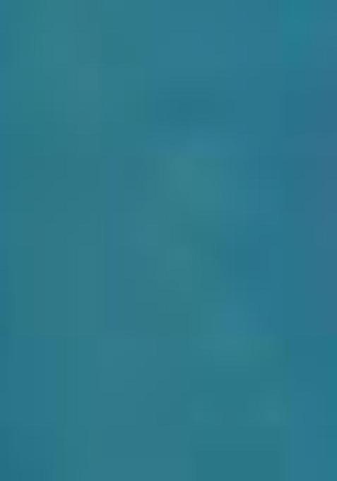 Teal Blue Sequin Thread Embroidered Net Saree Set