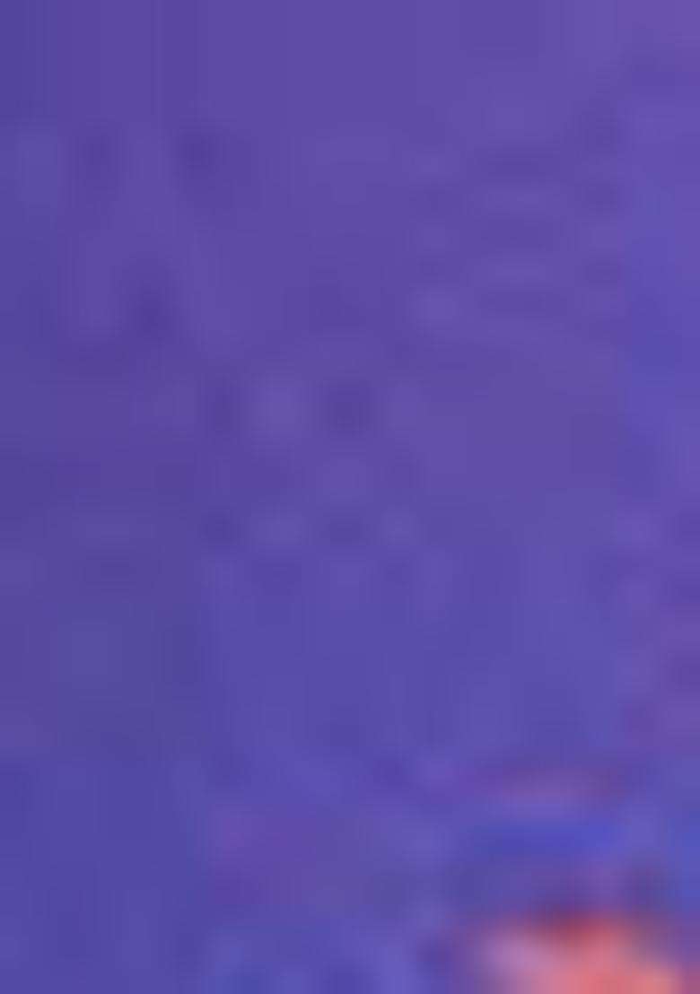 Violet Zari Woven Jacquard Silk Saree Set - Indya