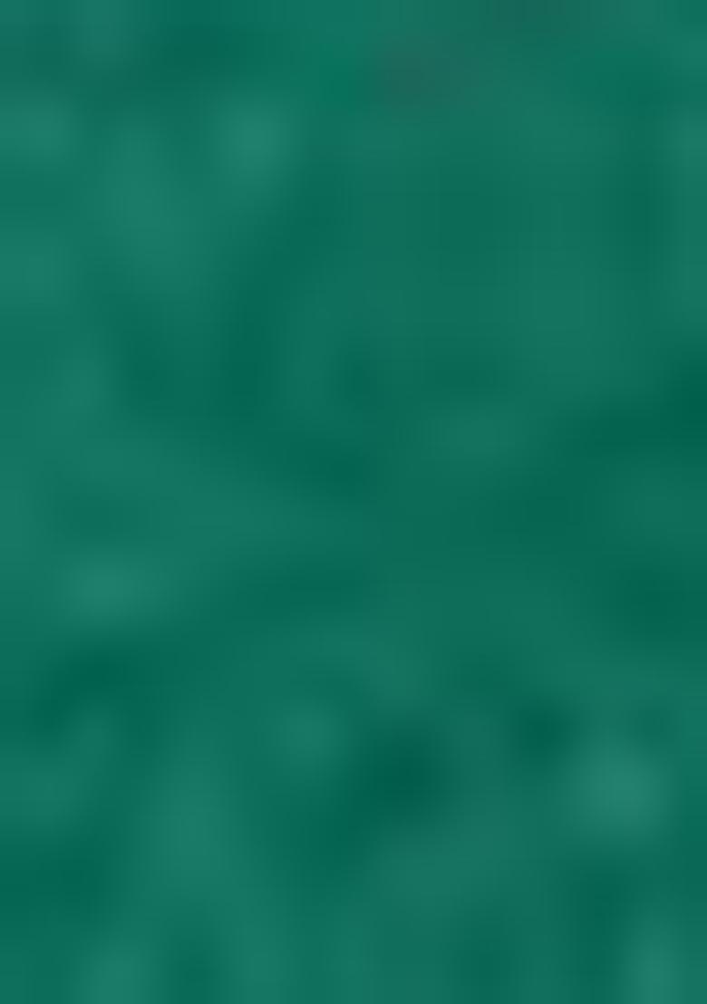 Green Digital Print Chinon Saree Set