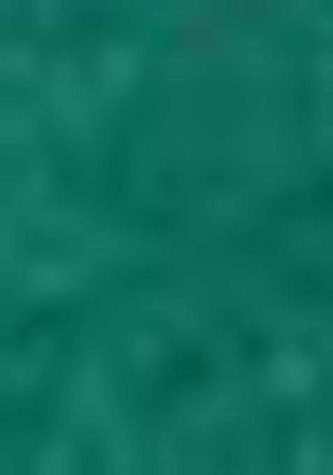 Green Digital Print Chinon Saree Set