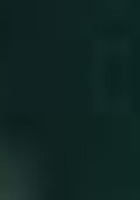 Green Sequin Embroidered Georgette Saree Set