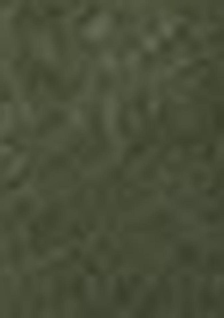 Green Zari Woven Banarasi Silk Saree Set