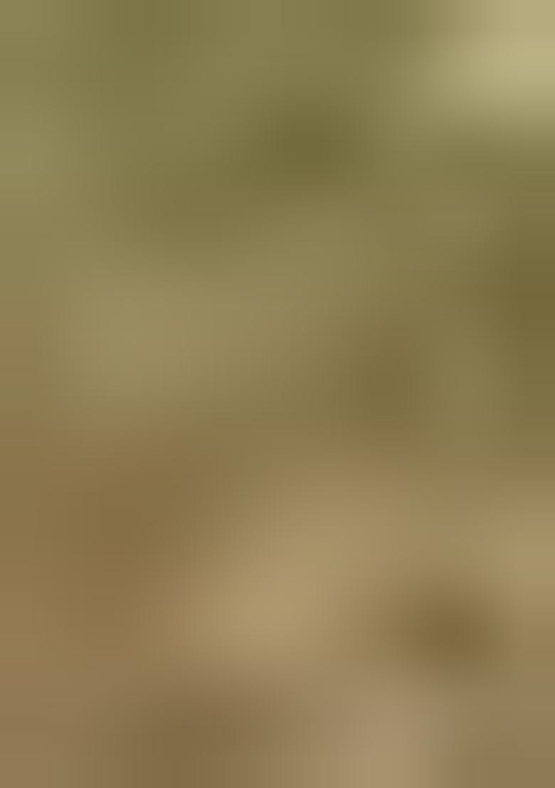 Beige Printed Zari Woven Silk Saree Set