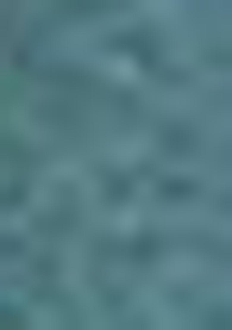 Rama Blue Printed Zari Woven Silk Saree Set