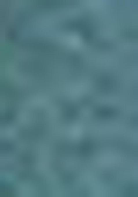 Rama Blue Printed Zari Woven Silk Saree Set