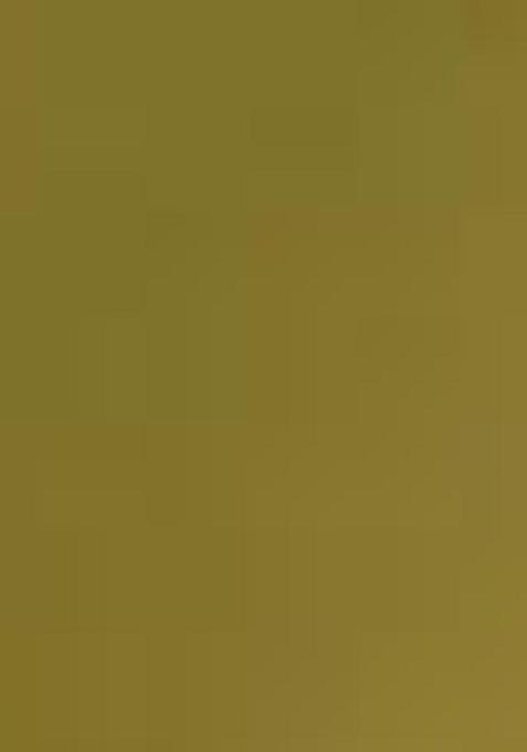 Green Zari Woven Tissue Silk Saree Set